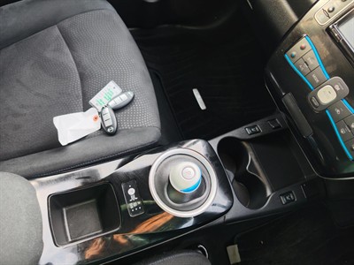2015 Nissan LEAF - Thumbnail