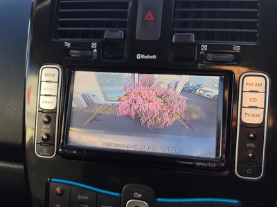 2015 Nissan LEAF - Thumbnail